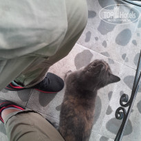 фото из отзыва ID 2664695