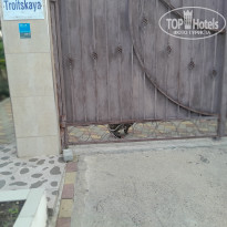 фото из отзыва ID 2664695