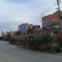 фото из отзыва ID 2664695