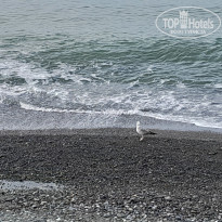 фото из отзыва ID 2664695