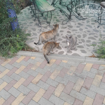 фото из отзыва ID 2664695