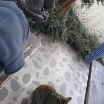 фото из отзыва ID 2664695