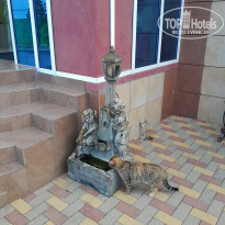 фото из отзыва ID 2664695