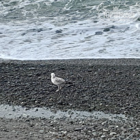 фото из отзыва ID 2664695