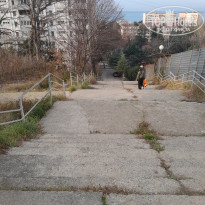 фото из отзыва ID 2664695