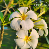 фото из отзыва ID 2666187