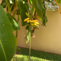 фото из отзыва ID 2666296