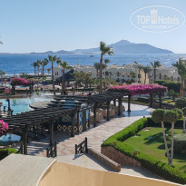 фото из отзыва ID 2666354