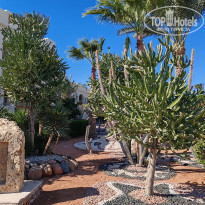 фото из отзыва ID 2666354