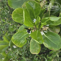 фото из отзыва ID 2666945