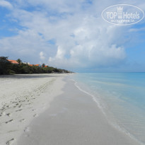 фото из отзыва ID 2666215