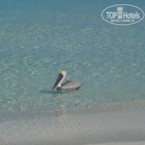 фото из отзыва ID 2666215