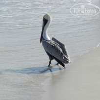 фото из отзыва ID 2666215