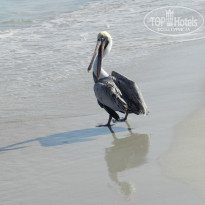 фото из отзыва ID 2666215