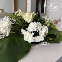 фото из отзыва ID 2667211