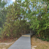 фото из отзыва ID 2667270