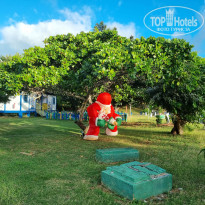 фото из отзыва ID 2667270