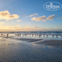 фото из отзыва ID 2667270