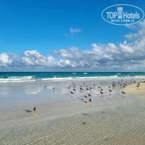 фото из отзыва ID 2667270