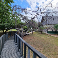 фото из отзыва ID 2667270