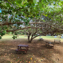 фото из отзыва ID 2667270