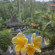 фото из отзыва ID 2667352