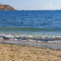 фото из отзыва ID 2667559