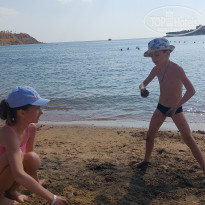 фото из отзыва ID 2667559