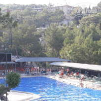 фото из отзыва ID 2667958