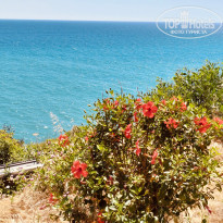 фото из отзыва ID 2667958