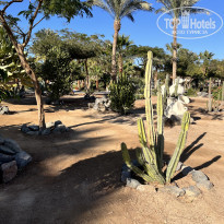 фото из отзыва ID 2668113