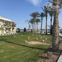 фото из отзыва ID 2668361