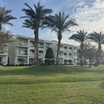 фото из отзыва ID 2668361