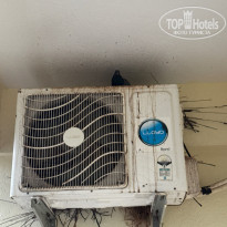 фото из отзыва ID 2668460