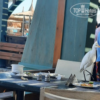 фото из отзыва ID 2668649