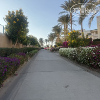 фото из отзыва ID 2668987