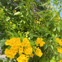 фото из отзыва ID 2669237