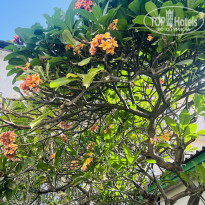 фото из отзыва ID 2669237