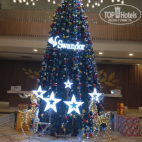 фото из отзыва ID 2668995