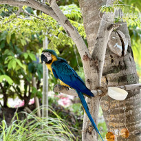фото из отзыва ID 2669398