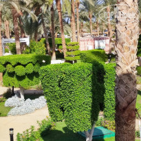 фото из отзыва ID 2669388