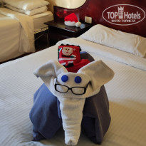 фото из отзыва ID 2669388