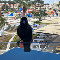 фото из отзыва ID 2669681