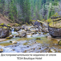 фото из отзыва ID 2669875