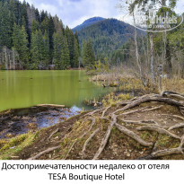 фото из отзыва ID 2669875