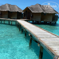 фото из отзыва ID 2666774