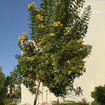 фото из отзыва ID 2666796