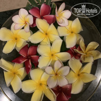 фото из отзыва ID 2670047