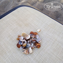 фото из отзыва ID 2670153