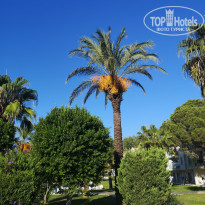 фото из отзыва ID 2670153